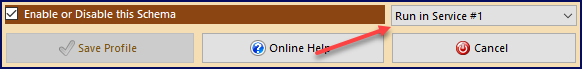 Form Footer of the Schema Profile Window